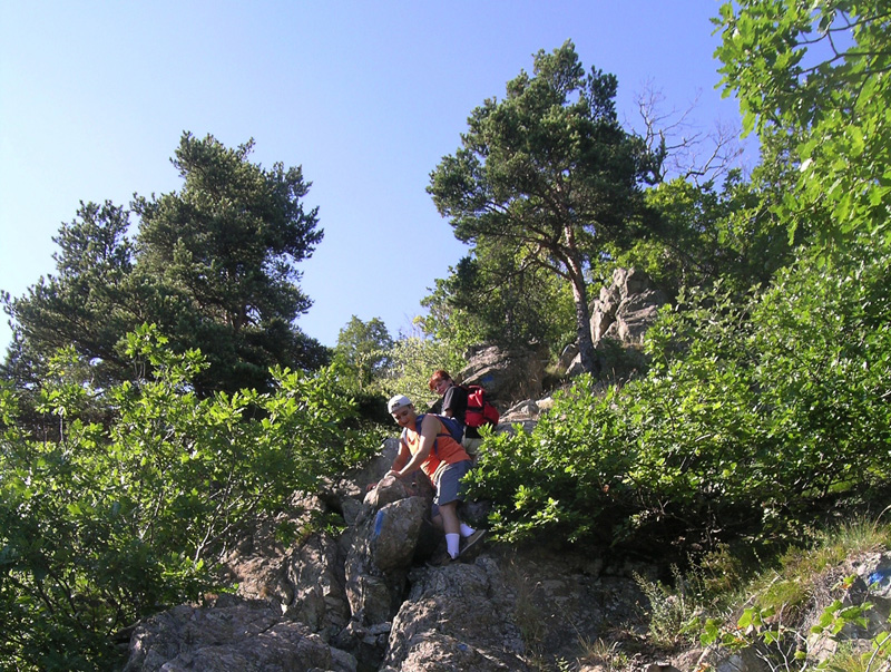 Rocca_Sella_07_Sentiero_Amici_37