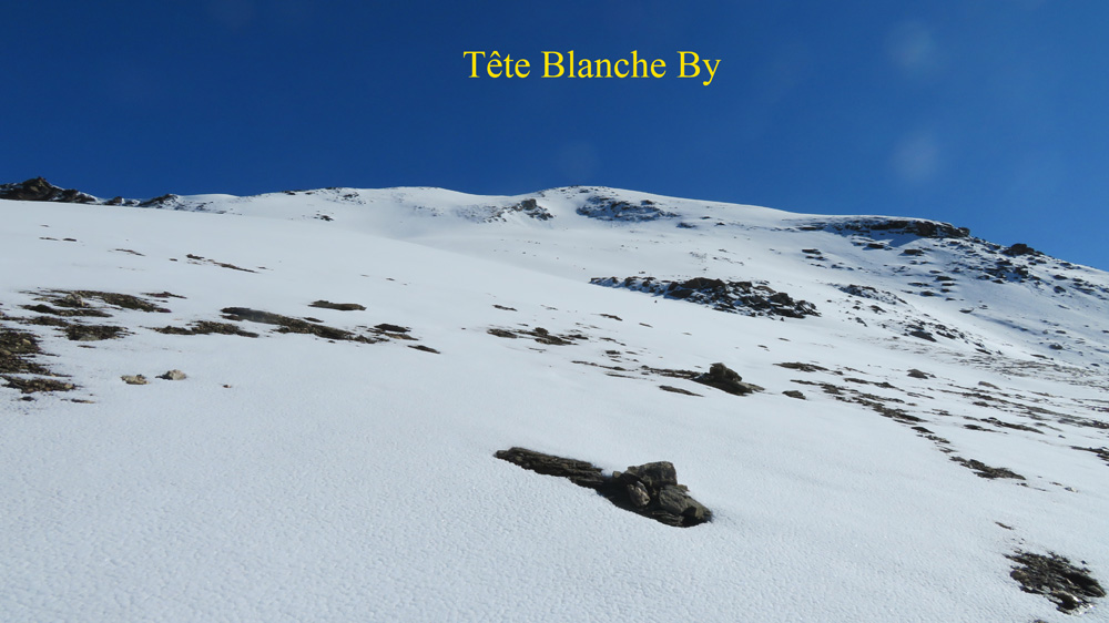 Tete_Blanche_21_076