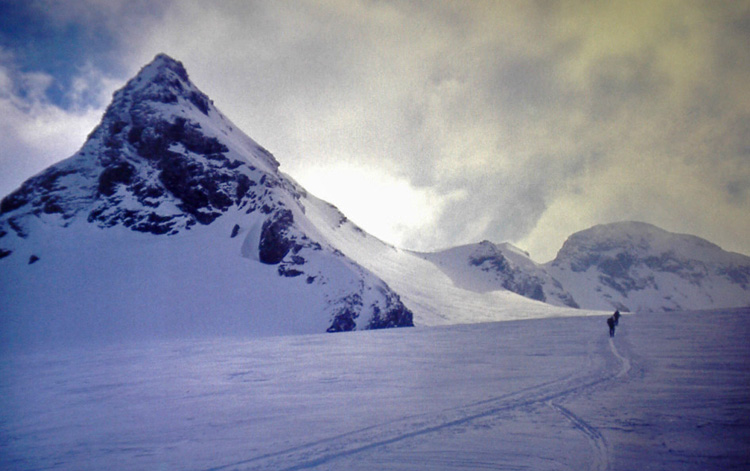 13_Silvretta_Gletscher_Egg_Horn