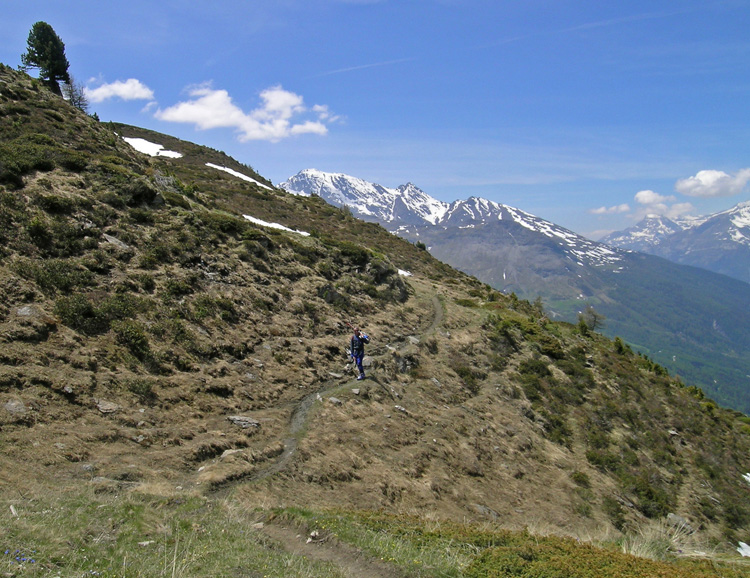 Roncia_51_Sentier_Balcon