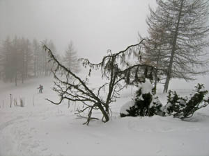 Spettri nella nebbia