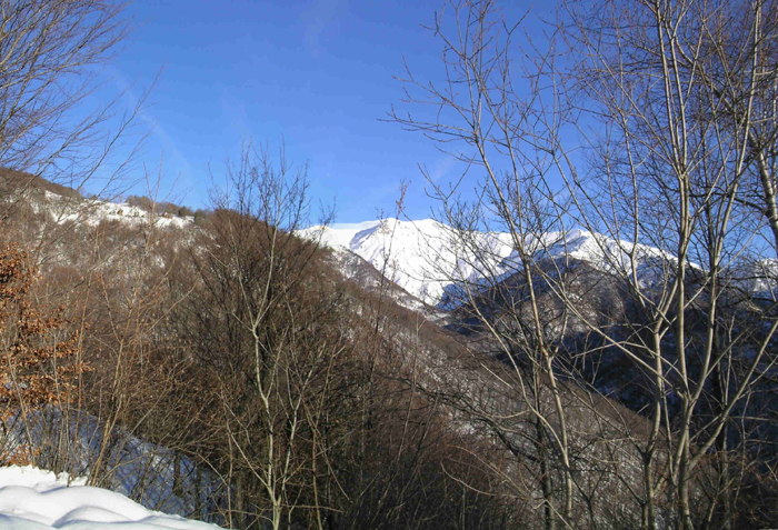 Massa_Turlo_03_alpe_piane