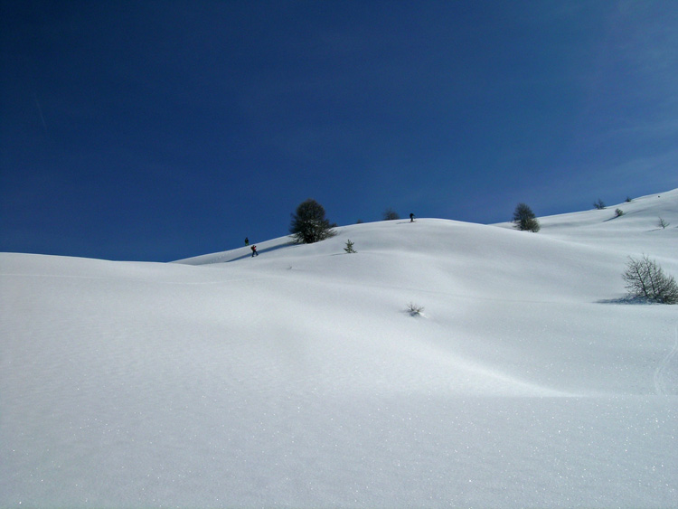 Cima_Bosco_Bousson_09_19