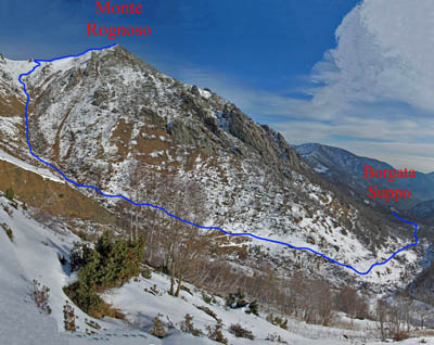 Monte Rognoso