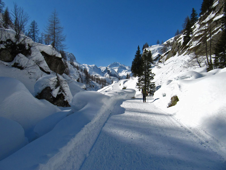 1_La pista che sale al Vannino