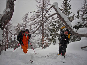 Nel Bois noir