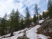 Cima_Lombarda_14_018