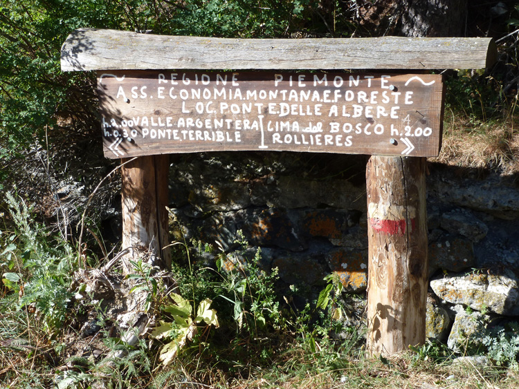 Cima_Bosco_12_13