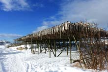 Lofoten_18_E10_17_Henningsvaer