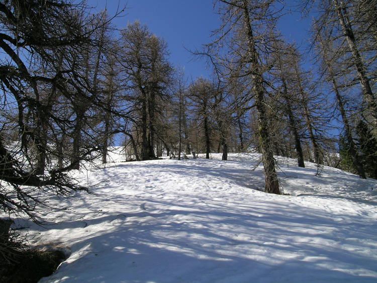 Ciantiplagna_08_Cresta_Naja