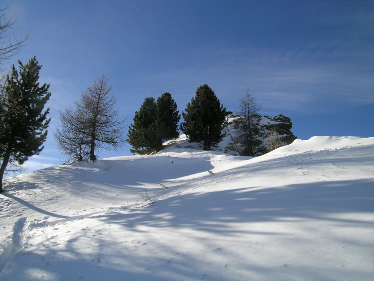 Cima_Bosco_07_08