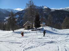 Cima_Bosco_Thures_16_31