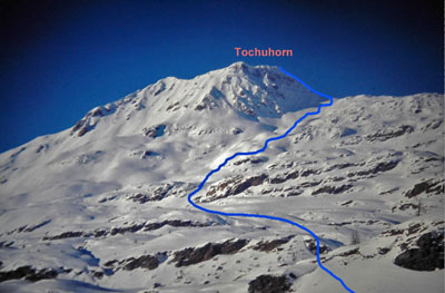 Tochuhorn