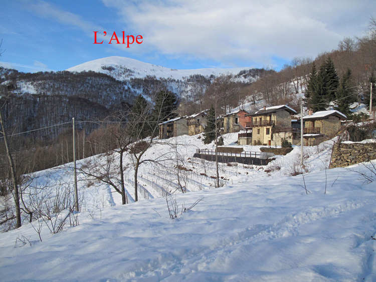 L_Alpe_09_06a_Chiotti_Rosa